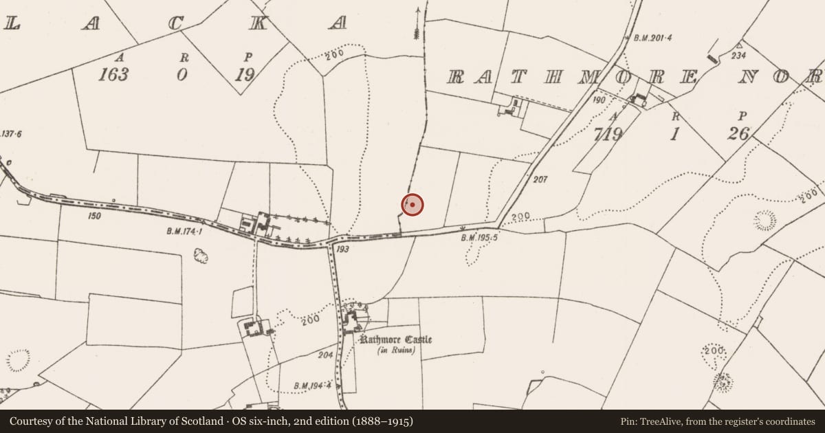 Ordnance Survey six-inch map, 2nd edition (1888–1915) covering the location of Enclosure, Rathmore North, County Limerick, with a pin at the register's coordinates