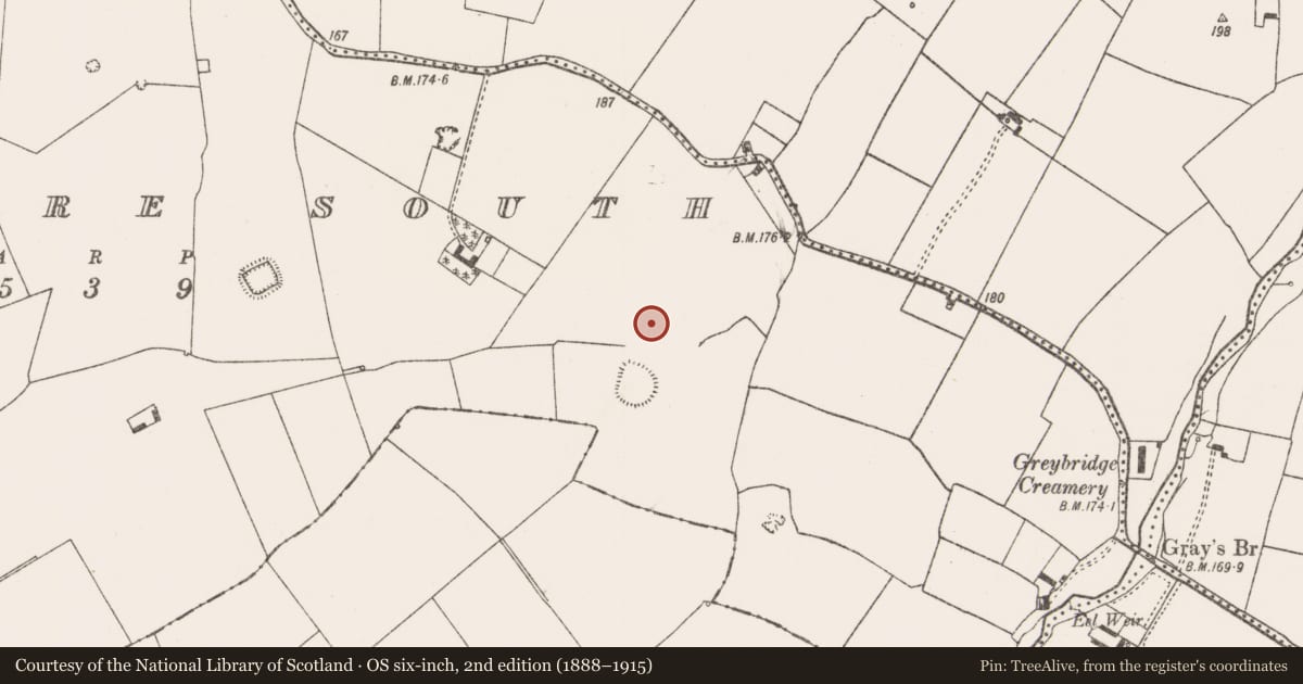 Ordnance Survey six-inch map, 2nd edition (1888–1915) covering the location of Field system, Rathmore South, County Limerick, with a pin at the register's coordinates