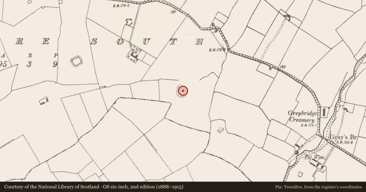 Ordnance Survey six-inch map, 2nd edition (1888–1915) covering the location of Ringfort - cashel, Rathmore South, County Limerick, with a pin at the register's coordinates
