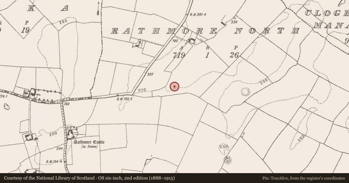 Ordnance Survey six-inch map, 2nd edition (1888–1915) covering the location of Enclosure, Rathmore North, County Limerick, with a pin at the register's coordinates