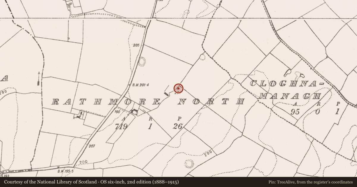 Ordnance Survey six-inch map, 2nd edition (1888–1915) covering the location of Enclosure, Rathmore North, County Limerick, with a pin at the register's coordinates