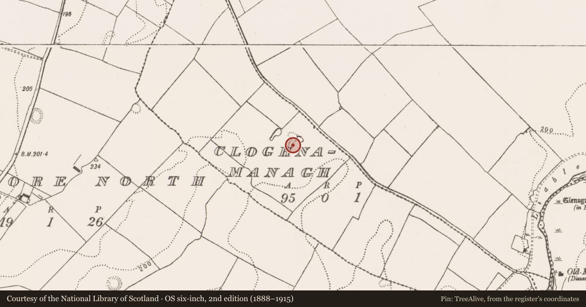 Ordnance Survey six-inch map, 2nd edition (1888–1915) covering the location of Standing stone, Cloghnamanagh, County Limerick, with a pin at the register's coordinates