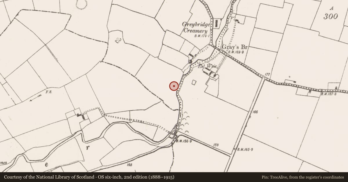 Ordnance Survey six-inch map, 2nd edition (1888–1915) covering the location of Hearth, Rathmore South, County Limerick, with a pin at the register's coordinates