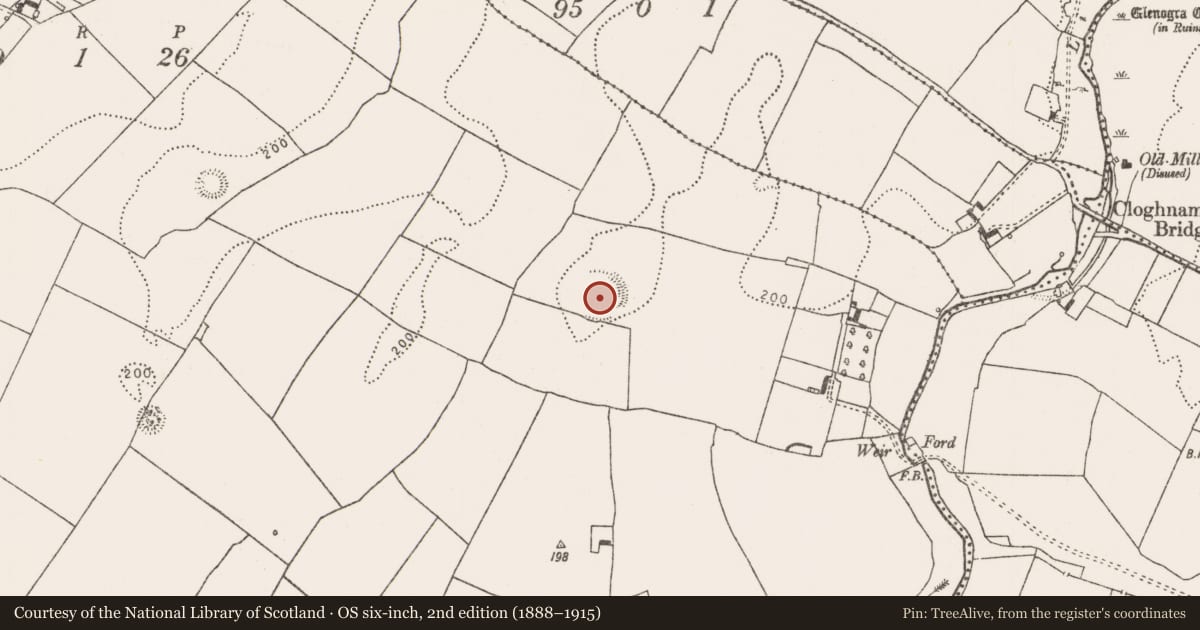 Ordnance Survey six-inch map, 2nd edition (1888–1915) covering the location of Enclosure - large enclosure, Rathmore North, County Limerick, with a pin at the register's coordinates