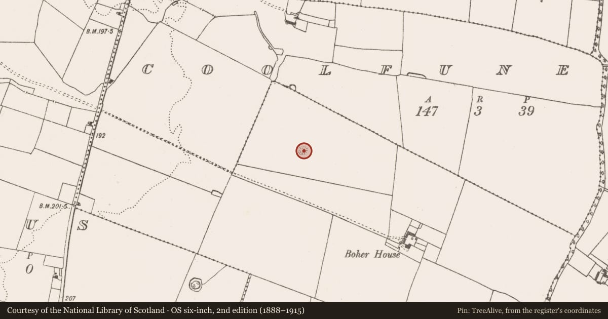 Ordnance Survey six-inch map, 2nd edition (1888–1915) covering the location of Ringfort - rath, Killorath, County Limerick, with a pin at the register's coordinates