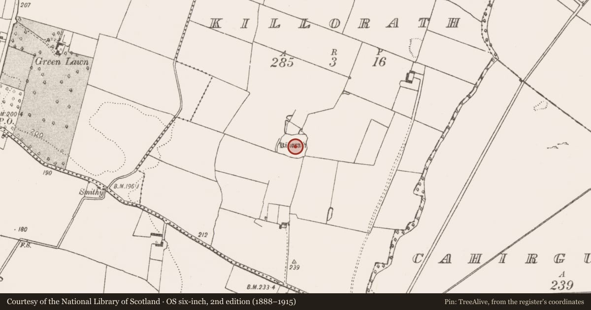 Ordnance Survey six-inch map, 2nd edition (1888–1915) covering the location of Ecclesiastical enclosure, Killorath, County Limerick, with a pin at the register's coordinates