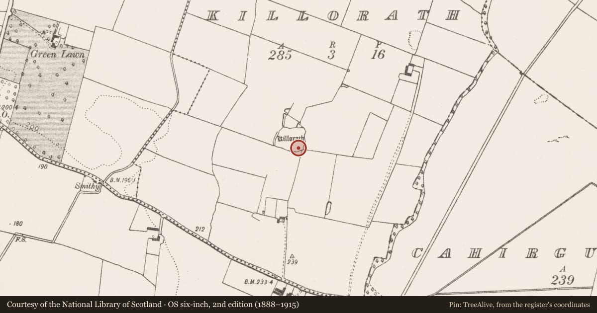 Ordnance Survey six-inch map, 2nd edition (1888–1915) covering the location of Cross-inscribed stone, Killorath, County Limerick, with a pin at the register's coordinates