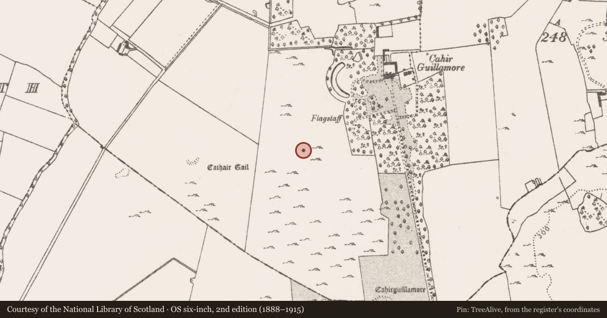 Ordnance Survey six-inch map, 2nd edition (1888–1915) covering the location of Field system, Cahirguillamore, County Limerick, with a pin at the register's coordinates