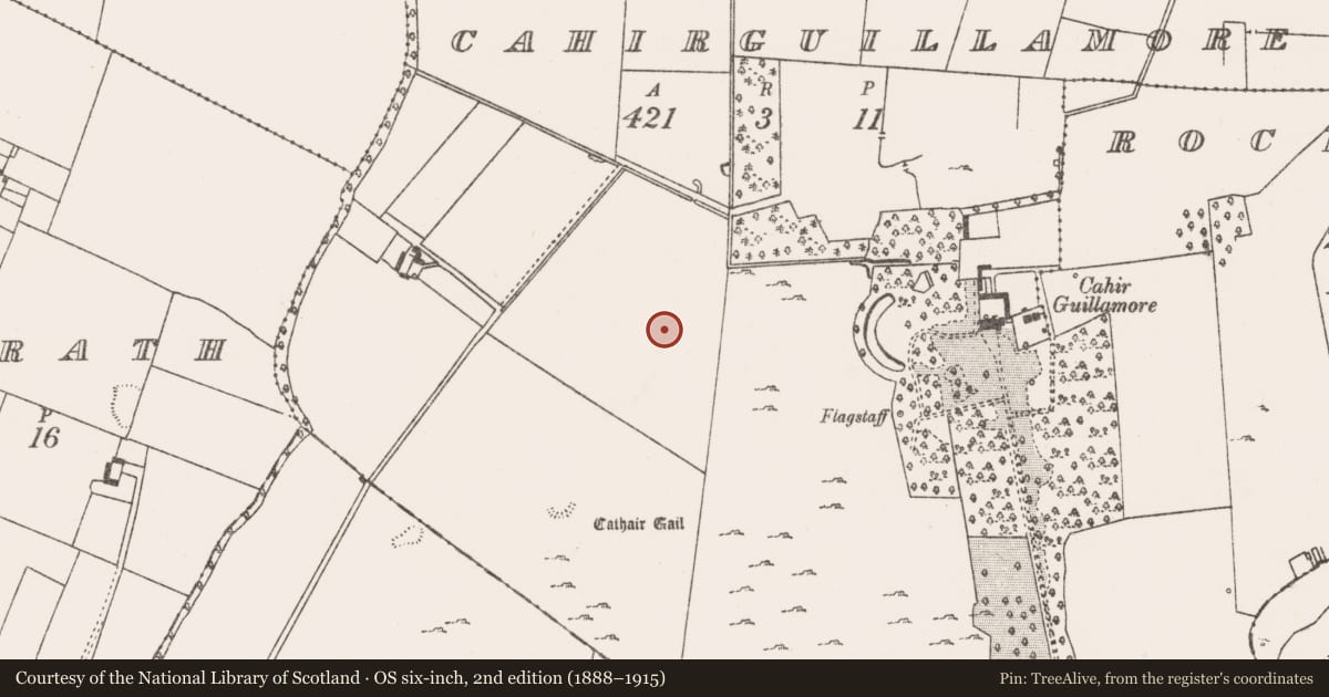 Ordnance Survey six-inch map, 2nd edition (1888–1915) covering the location of Enclosure, Cahirguillamore, County Limerick, with a pin at the register's coordinates