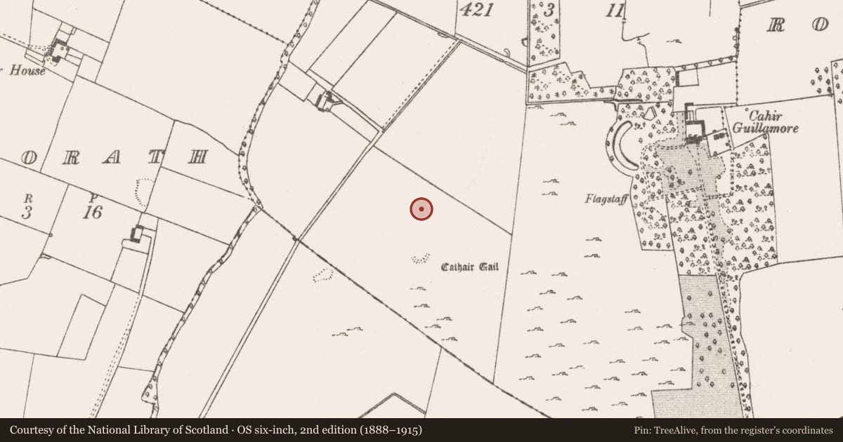 Ordnance Survey six-inch map, 2nd edition (1888–1915) covering the location of Boulder-burial, Cahirguillamore, County Limerick, with a pin at the register's coordinates