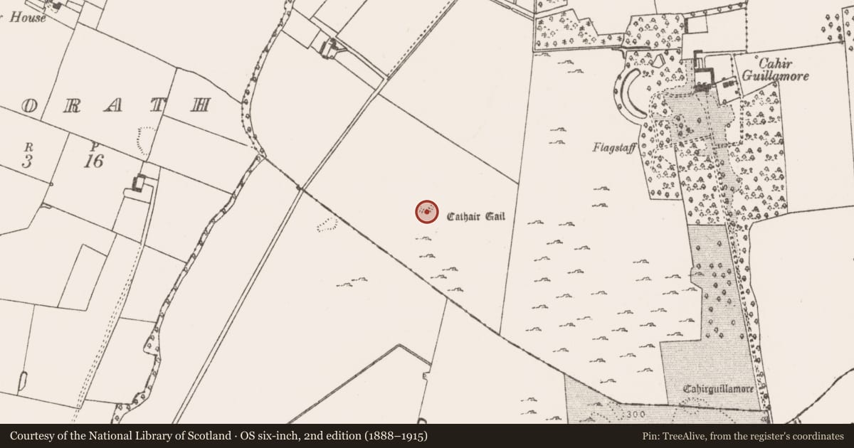 Ordnance Survey six-inch map, 2nd edition (1888–1915) covering the location of Enclosure, Cahirguillamore, County Limerick, with a pin at the register's coordinates