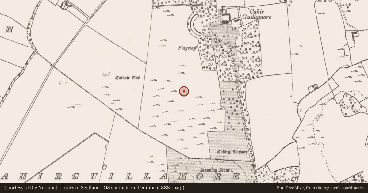 Ordnance Survey six-inch map, 2nd edition (1888–1915) covering the location of Ringfort - cashel, Cahirguillamore, County Limerick, with a pin at the register's coordinates