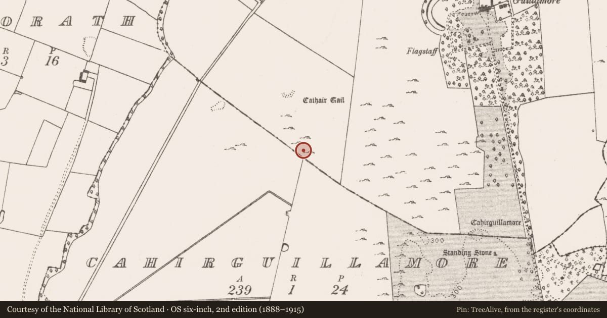 Ordnance Survey six-inch map, 2nd edition (1888–1915) covering the location of Boulder-burial, Cahirguillamore, County Limerick, with a pin at the register's coordinates