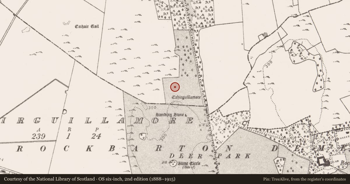 Ordnance Survey six-inch map, 2nd edition (1888–1915) covering the location of House - medieval, Cahirguillamore, County Limerick, with a pin at the register's coordinates