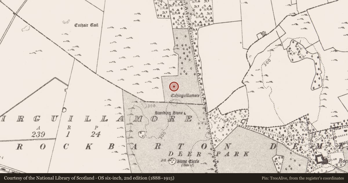 Ordnance Survey six-inch map, 2nd edition (1888–1915) covering the location of House - medieval, Cahirguillamore, County Limerick, with a pin at the register's coordinates