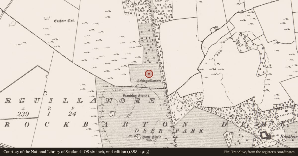 Ordnance Survey six-inch map, 2nd edition (1888–1915) covering the location of Settlement deserted - medieval, Cahirguillamore, County Limerick, with a pin at the register's coordinates
