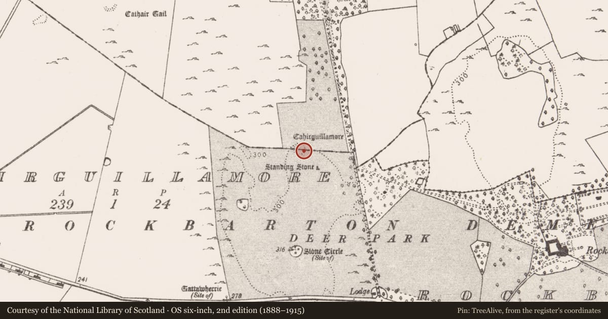 Ordnance Survey six-inch map, 2nd edition (1888–1915) covering the location of Ringfort - cashel, Cahirguillamore, County Limerick, with a pin at the register's coordinates