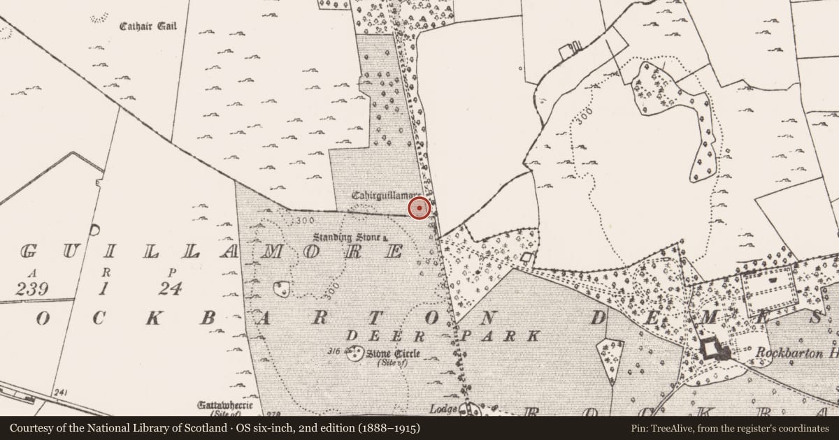 Ordnance Survey six-inch map, 2nd edition (1888–1915) covering the location of Ringfort - rath, Cahirguillamore, County Limerick, with a pin at the register's coordinates