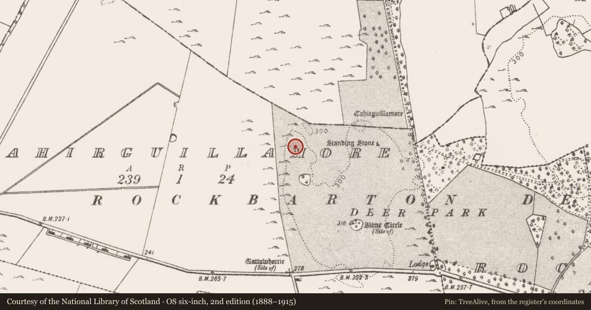 Ordnance Survey six-inch map, 2nd edition (1888–1915) covering the location of House - medieval, Cahirguillamore, County Limerick, with a pin at the register's coordinates