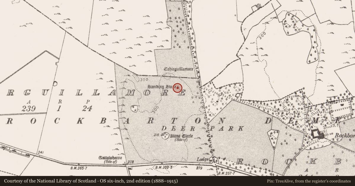 Ordnance Survey six-inch map, 2nd edition (1888–1915) covering the location of Standing stone, Cahirguillamore, County Limerick, with a pin at the register's coordinates