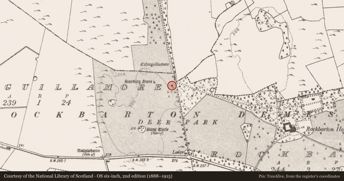 Ordnance Survey six-inch map, 2nd edition (1888–1915) covering the location of Ringfort - cashel, Cahirguillamore, County Limerick, with a pin at the register's coordinates