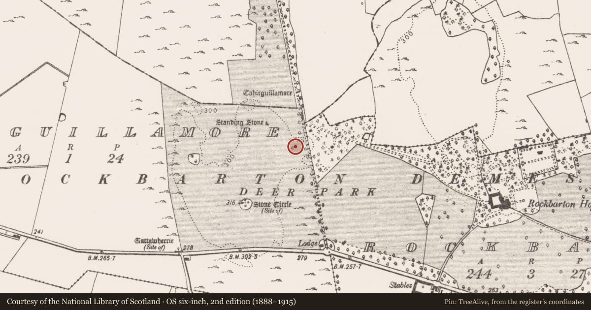 Ordnance Survey six-inch map, 2nd edition (1888–1915) covering the location of Castle - unclassified, Cahirguillamore, County Limerick, with a pin at the register's coordinates