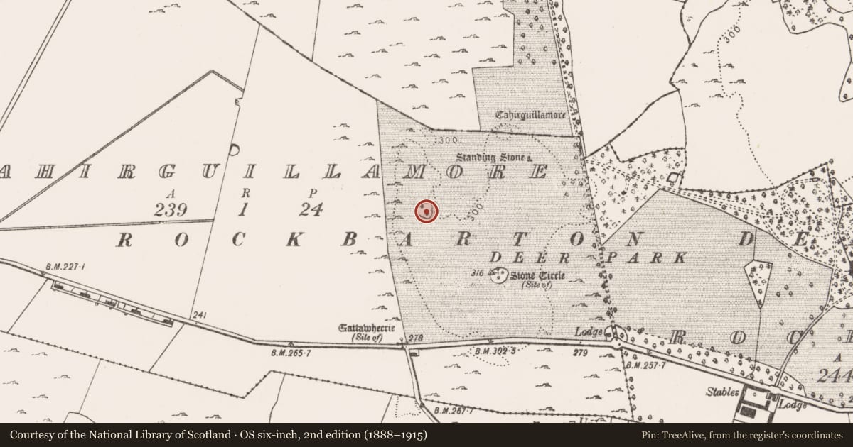 Ordnance Survey six-inch map, 2nd edition (1888–1915) covering the location of Ringfort - cashel, Cahirguillamore, County Limerick, with a pin at the register's coordinates