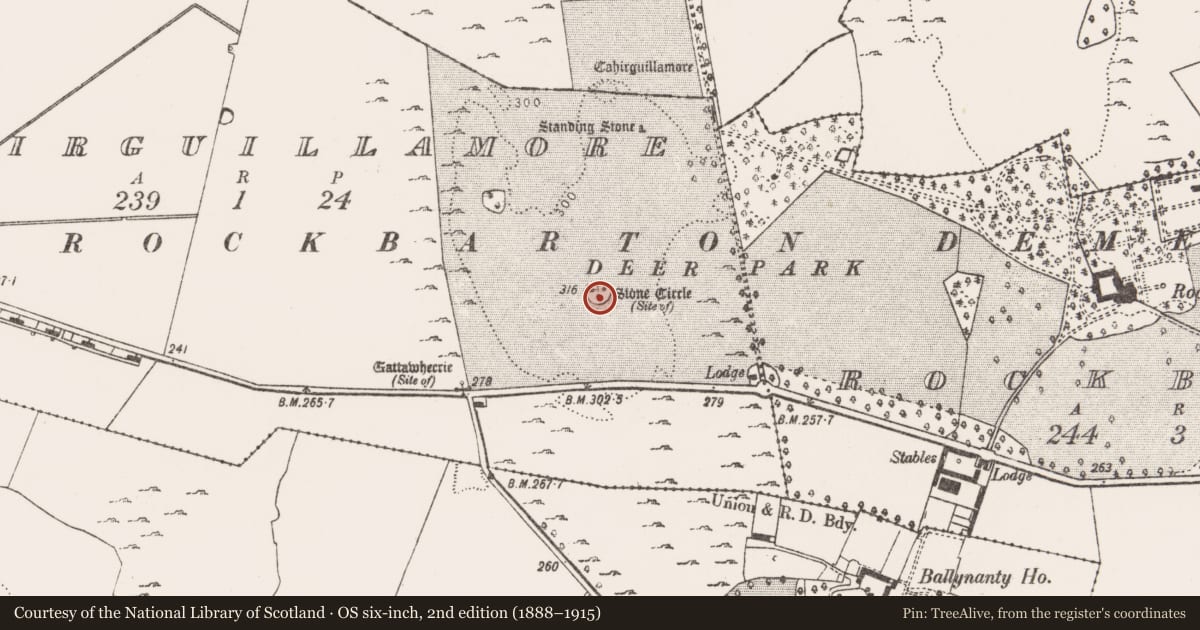 Ordnance Survey six-inch map, 2nd edition (1888–1915) covering the location of Ringfort - cashel, Cahirguillamore, County Limerick, with a pin at the register's coordinates