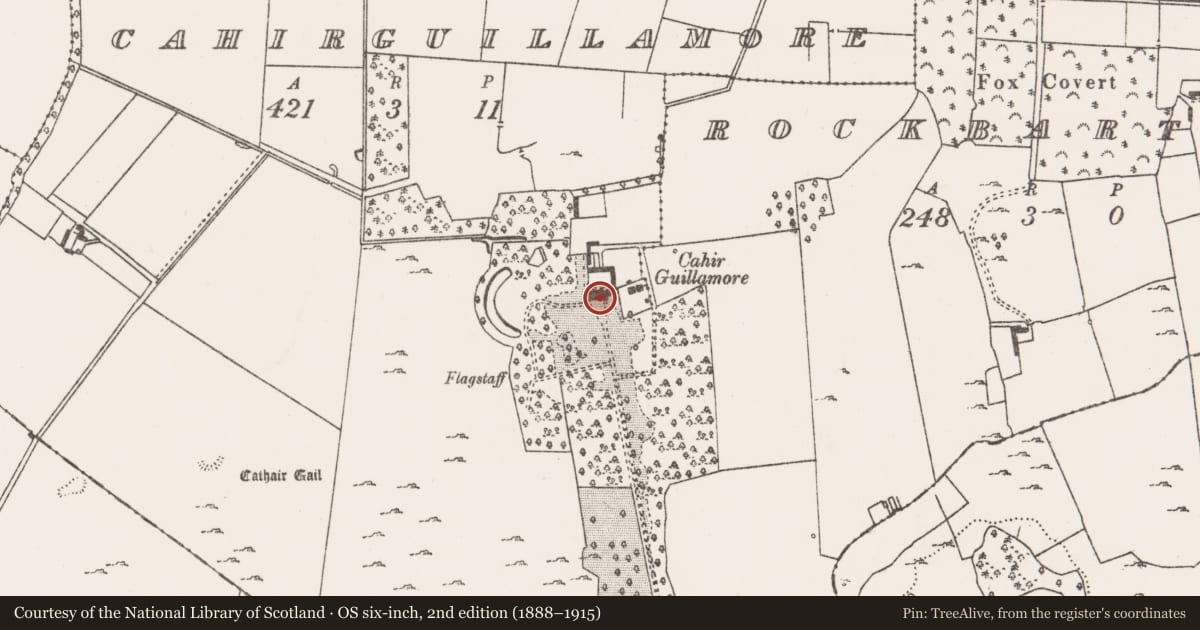 Ordnance Survey six-inch map, 2nd edition (1888–1915) covering the location of House - 17th century, Cahirguillamore, County Limerick, with a pin at the register's coordinates