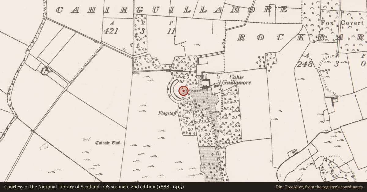 Ordnance Survey six-inch map, 2nd edition (1888–1915) covering the location of Designed landscape - ornamental lake, Cahirguillamore, County Limerick, with a pin at the register's coordinates