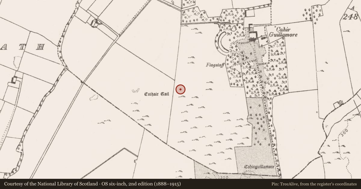 Ordnance Survey six-inch map, 2nd edition (1888–1915) covering the location of Enclosure, Cahirguillamore, County Limerick, with a pin at the register's coordinates