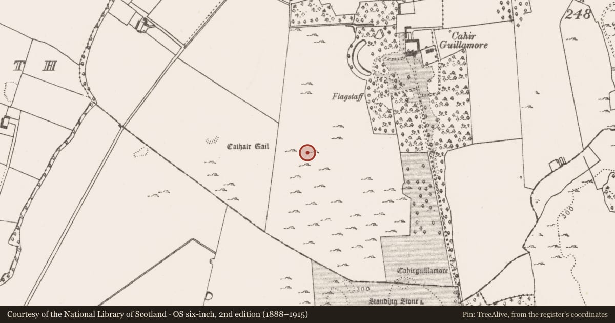 Ordnance Survey six-inch map, 2nd edition (1888–1915) covering the location of Barrow - unclassified, Cahirguillamore, County Limerick, with a pin at the register's coordinates