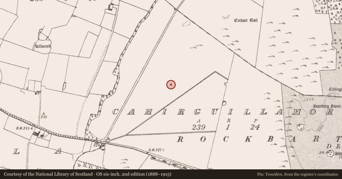 Ordnance Survey six-inch map, 2nd edition (1888–1915) covering the location of Barrow - ditch barrow, Cahirguillamore, County Limerick, with a pin at the register's coordinates
