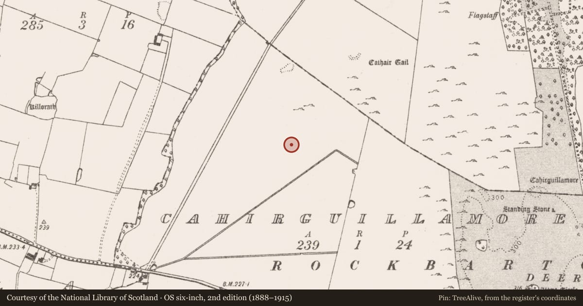 Ordnance Survey six-inch map, 2nd edition (1888–1915) covering the location of Barrow - ditch barrow, Cahirguillamore, County Limerick, with a pin at the register's coordinates
