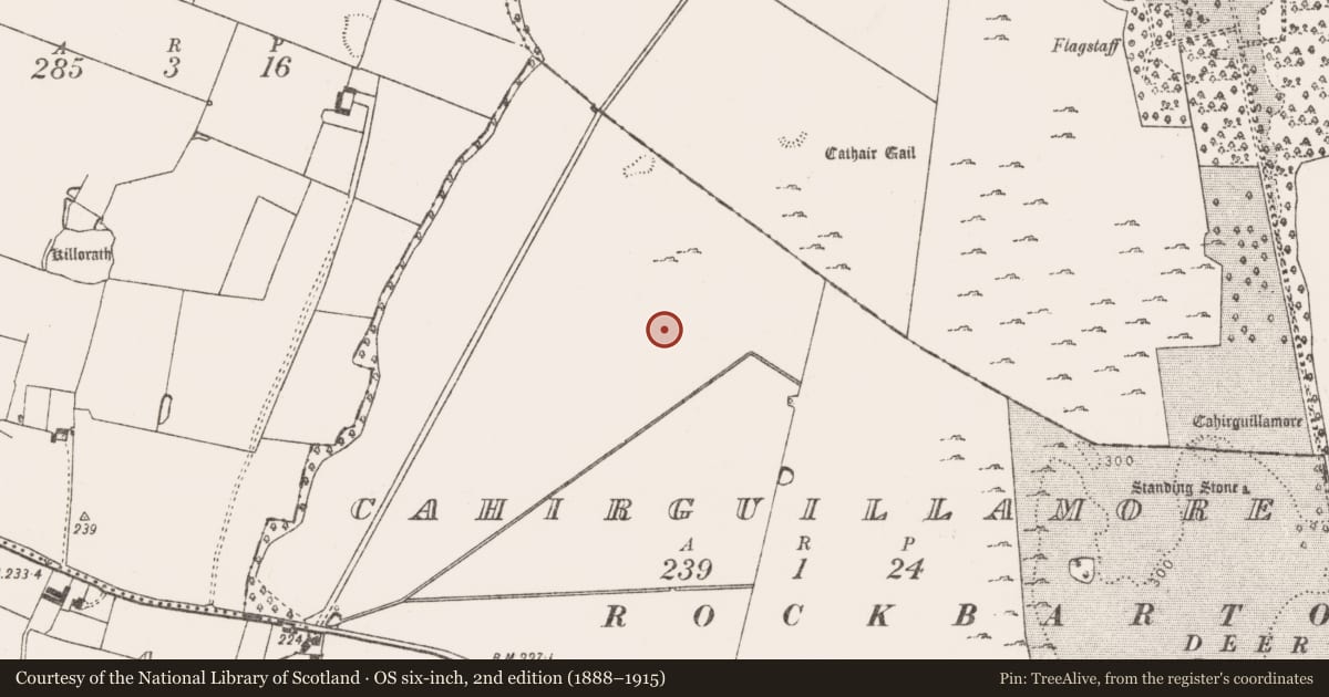 Ordnance Survey six-inch map, 2nd edition (1888–1915) covering the location of Barrow - ditch barrow, Cahirguillamore, County Limerick, with a pin at the register's coordinates