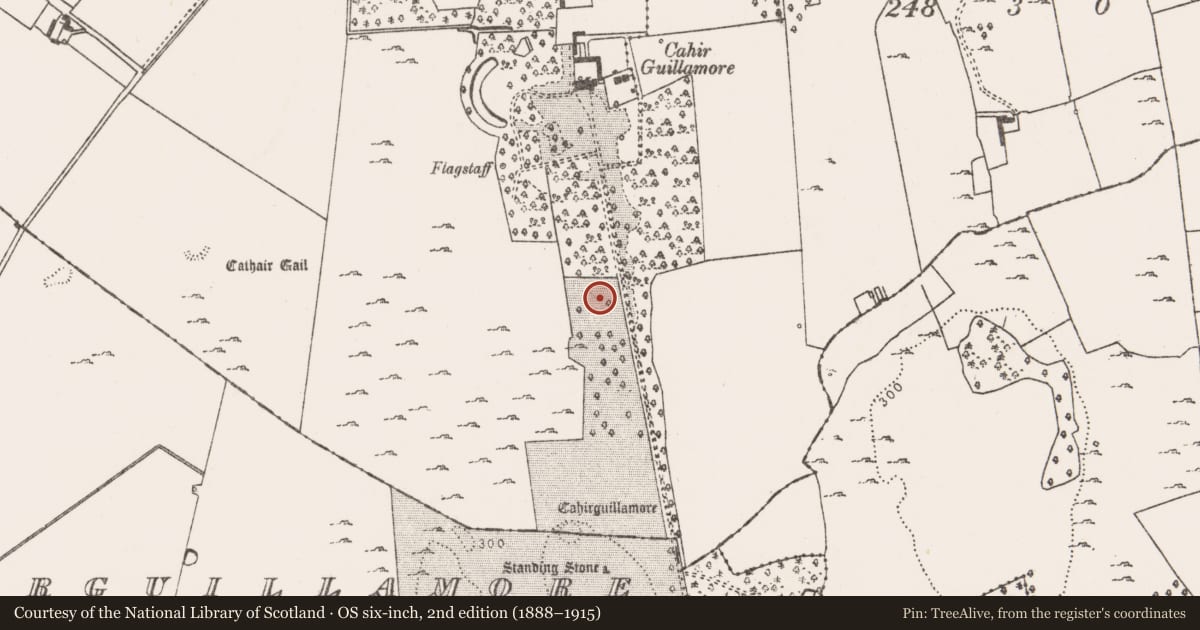Ordnance Survey six-inch map, 2nd edition (1888–1915) covering the location of Fulacht fia, Cahirguillamore, County Limerick, with a pin at the register's coordinates