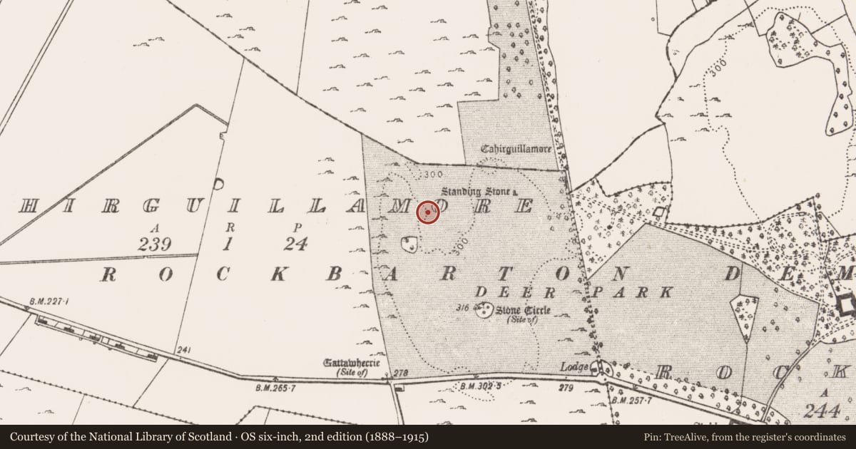 Ordnance Survey six-inch map, 2nd edition (1888–1915) covering the location of Road - road/trackway, Cahirguillamore, County Limerick, with a pin at the register's coordinates