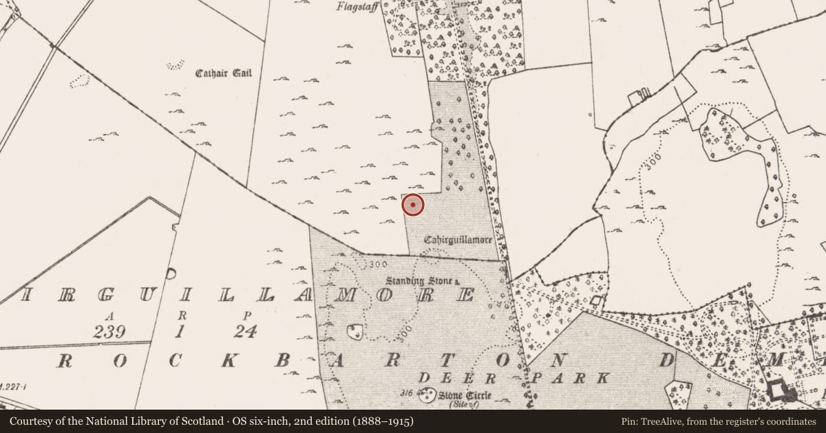 Ordnance Survey six-inch map, 2nd edition (1888–1915) covering the location of House - medieval, Cahirguillamore, County Limerick, with a pin at the register's coordinates
