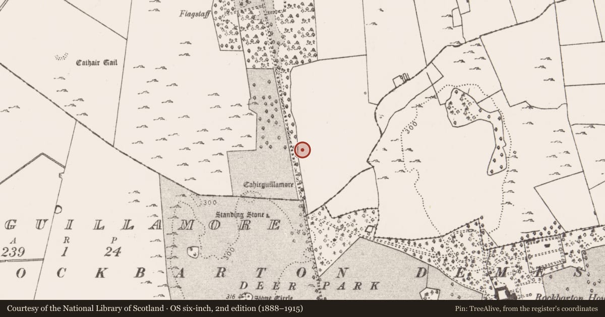 Ordnance Survey six-inch map, 2nd edition (1888–1915) covering the location of House - medieval, Cahirguillamore, County Limerick, with a pin at the register's coordinates