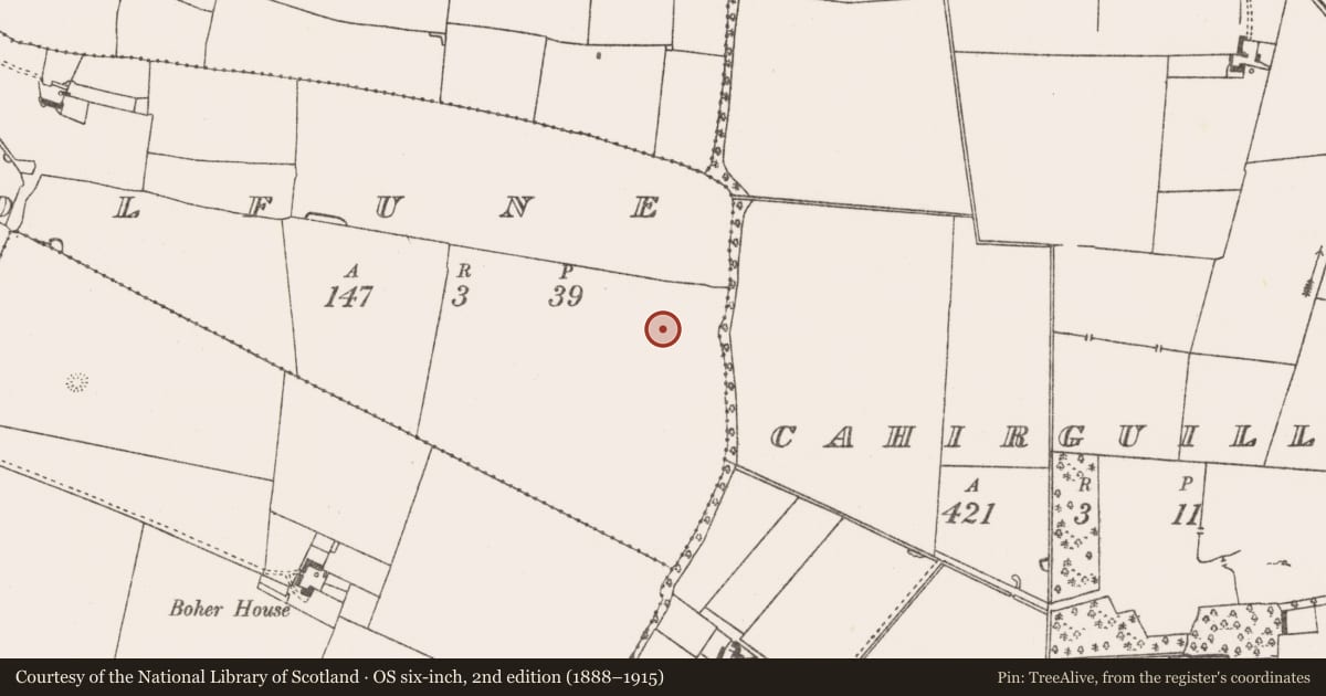 Ordnance Survey six-inch map, 2nd edition (1888–1915) covering the location of Moated site, Coolfune, County Limerick, with a pin at the register's coordinates