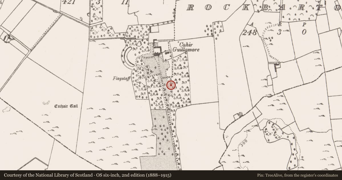 Ordnance Survey six-inch map, 2nd edition (1888–1915) covering the location of Burial, Rockbarton, County Limerick, with a pin at the register's coordinates