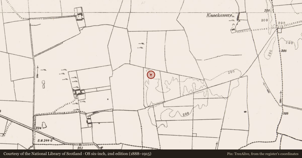 Ordnance Survey six-inch map, 2nd edition (1888–1915) covering the location of Cairn - unclassified, Ballycullane, County Limerick, with a pin at the register's coordinates