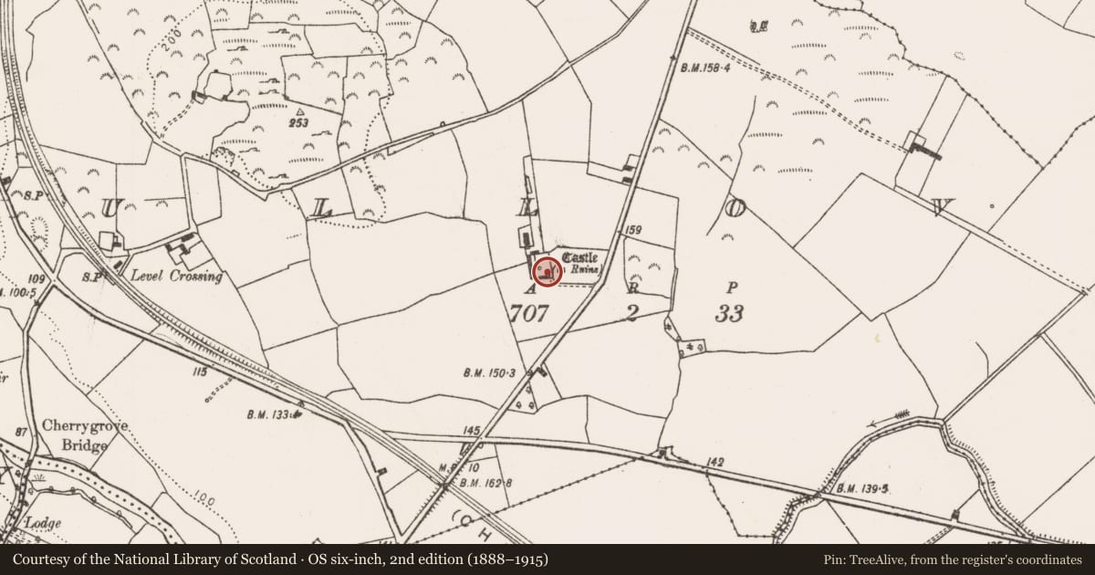Ordnance Survey six-inch map, 2nd edition (1888–1915) covering the location of Castle - tower house, Tullovin, County Limerick, with a pin at the register's coordinates