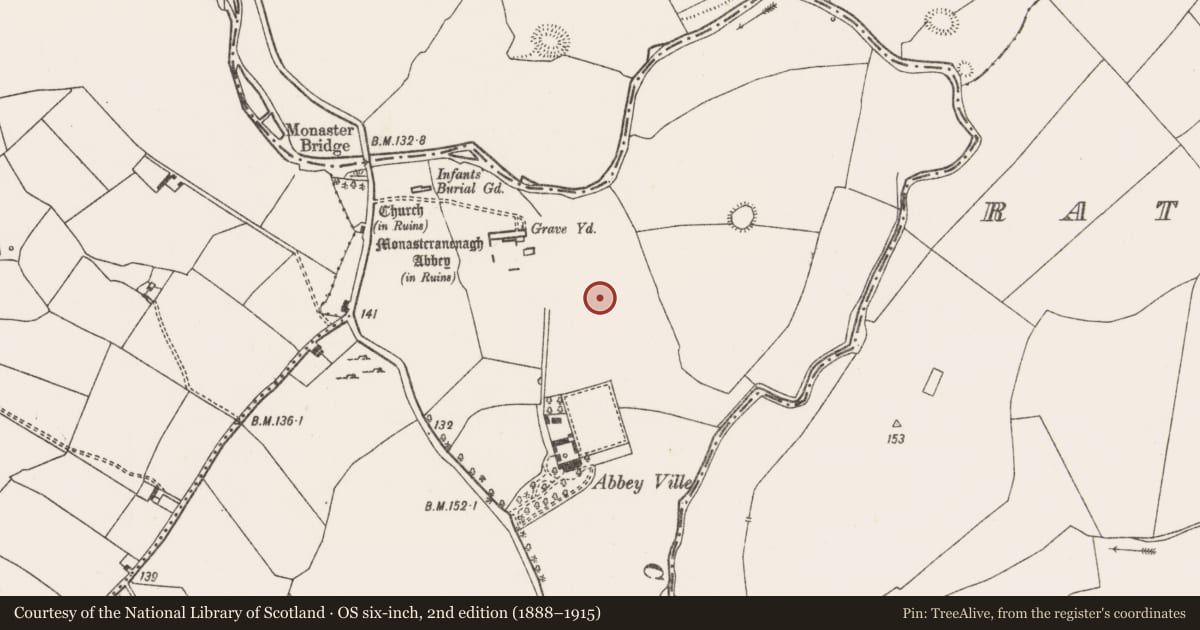 Ordnance Survey six-inch map, 2nd edition (1888–1915) covering the location of Field system, Monaster South, County Limerick, with a pin at the register's coordinates