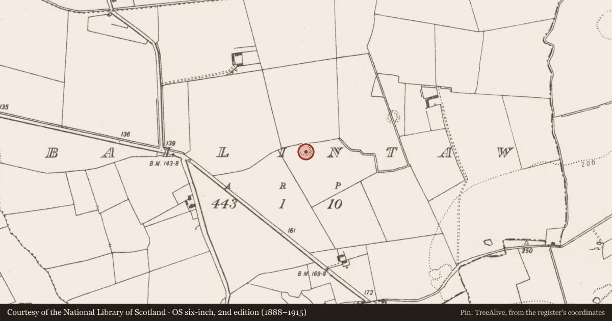 Ordnance Survey six-inch map, 2nd edition (1888–1915) covering the location of Ringfort - rath, Ballintaw, County Limerick, with a pin at the register's coordinates