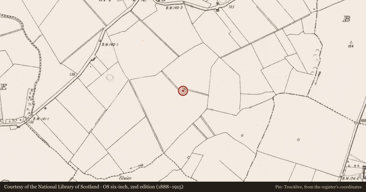 Ordnance Survey six-inch map, 2nd edition (1888–1915) covering the location of Ringfort - rath, Dunkip, County Limerick, with a pin at the register's coordinates