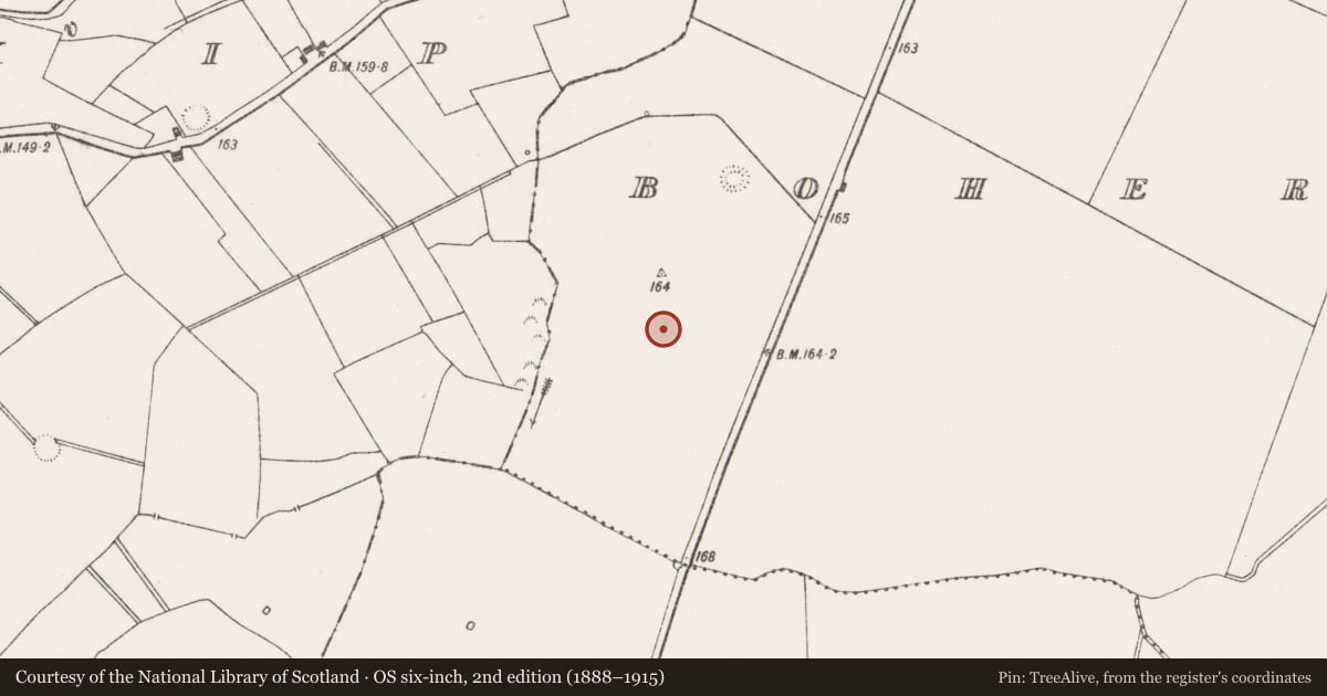Ordnance Survey six-inch map, 2nd edition (1888–1915) covering the location of Field system, Boherygeela, Dunkip, County Limerick, with a pin at the register's coordinates