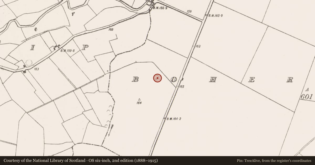 Ordnance Survey six-inch map, 2nd edition (1888–1915) covering the location of Ringfort - rath, Boherygeela, County Limerick, with a pin at the register's coordinates