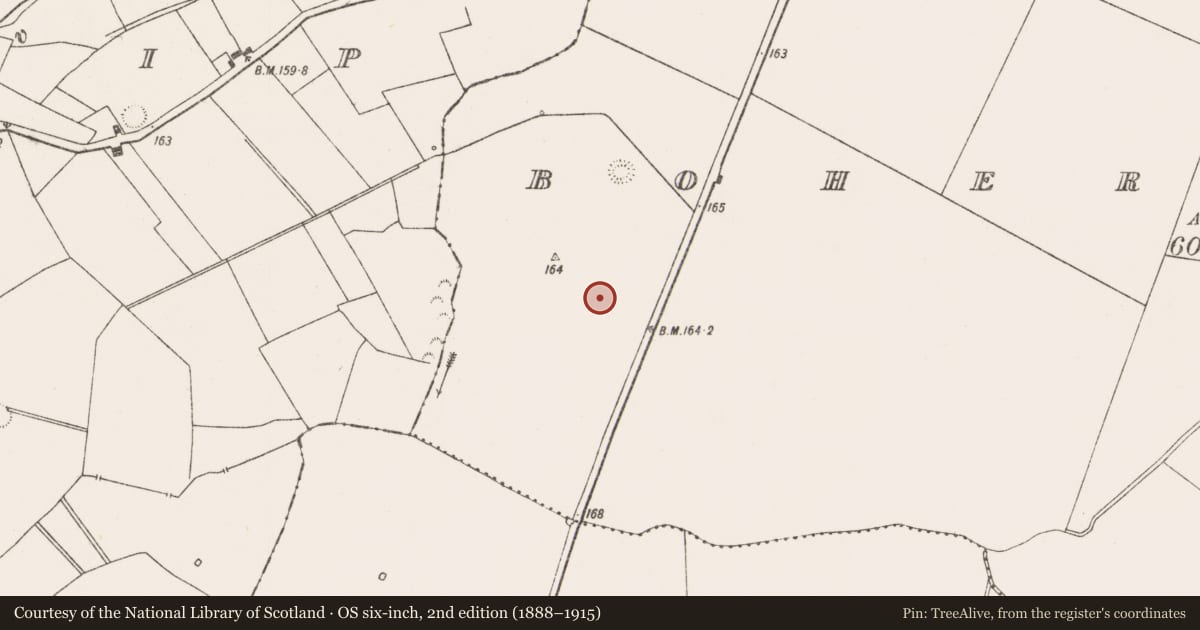 Ordnance Survey six-inch map, 2nd edition (1888–1915) covering the location of Enclosure, Boherygeela, County Limerick, with a pin at the register's coordinates