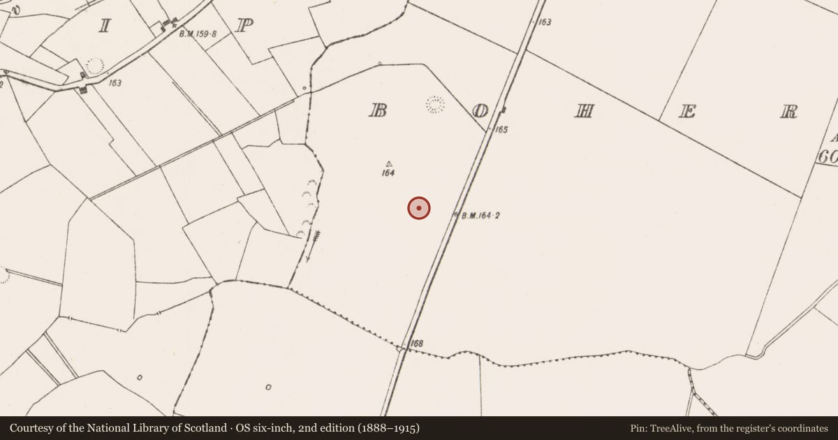 Ordnance Survey six-inch map, 2nd edition (1888–1915) covering the location of Enclosure, Boherygeela, County Limerick, with a pin at the register's coordinates